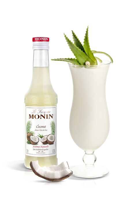 Monin Kokos 1l