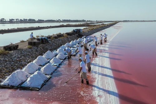 Monkey 47 Distiller’s Cut 2025