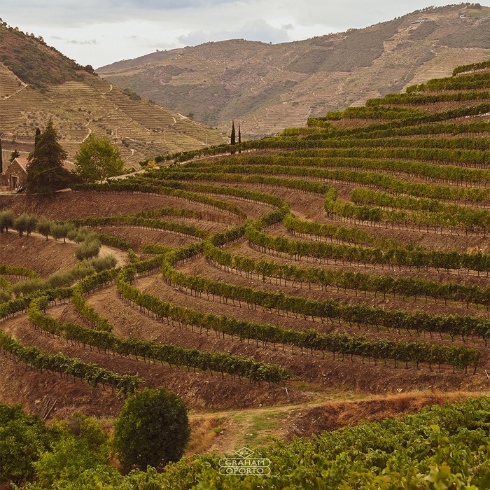 Graham&#039;s Selection of Finest Ports 5 x 0,2l