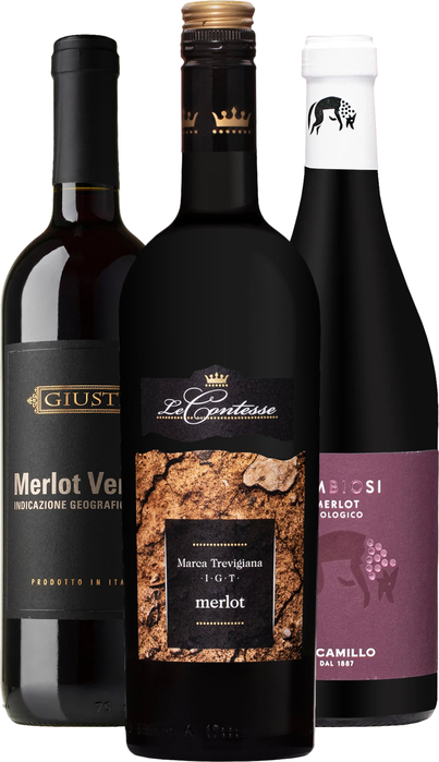 Set vín Merlot