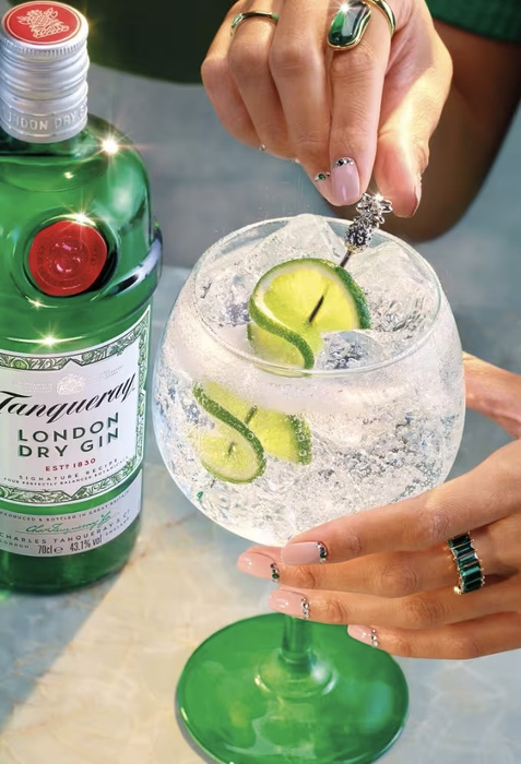 Tanqueray Gin 1l 47,3%