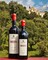 Giusti Rosso DOCG Superiore Umberto I