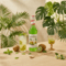 Monin Kiwi