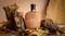 Ron Barcelo Imperial Rare Blends Maple Cask