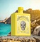 Amuerte Coca Leaf Gin Yellow Edition