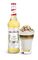 Monin Vanilka 1l