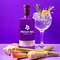 Whitley Neill Rhubarb &amp; Ginger Gin