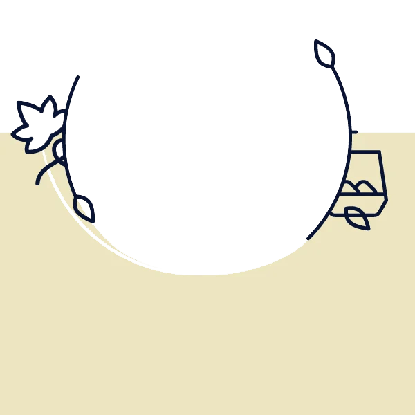 Paloma, mexický drink na leto 