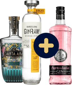 Bundle Santa Ana Gin + GinRaw Gastronomic + Puerto de Indias Strawberry gratis