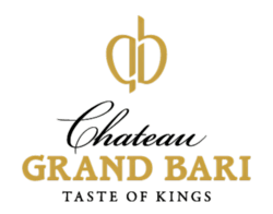 Chateau Grand Bari