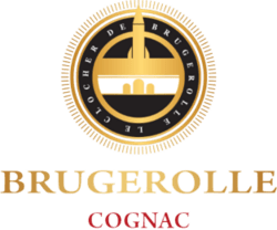 Brugerolle