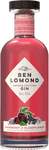 Ben Lomond Raspberry &amp; Elderflower Gin 0,5l